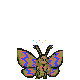 OtacilioN's Gitemon, a Spark Polyglot