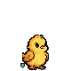 Yvonne-Wanja-1's Gitemon, a Wing Steady