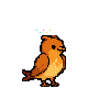sammyd's Gitemon, a Wing Polyglot
