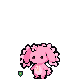 dennekay's Gitemon, a Bloom Steady